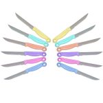 2551 Multipurpose Top Kitchen Knife for Home and Restaurant (12Pcs Set)